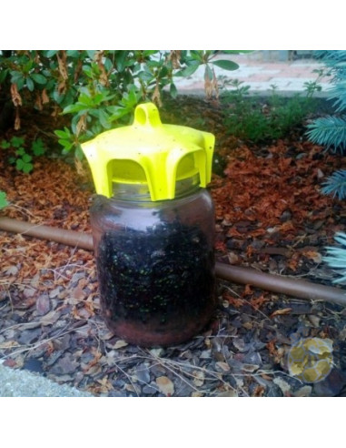 VASO TRAP TRAPPOLE SELETTIVE PER INSETTI DANNOSI VOLANTI E LUMACHE CONF