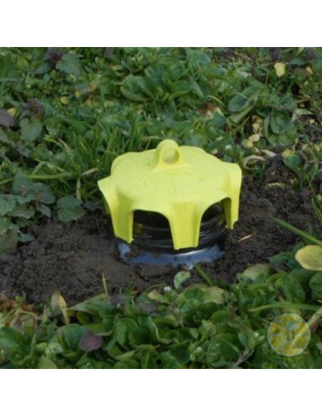 VASO TRAP TRAPPOLE SELETTIVE PER INSETTI DANNOSI VOLANTI E LUMACHE CONF