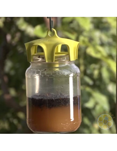 VASO TRAP TRAPPOLE SELETTIVE PER INSETTI DANNOSI VOLANTI E LUMACHE CONF