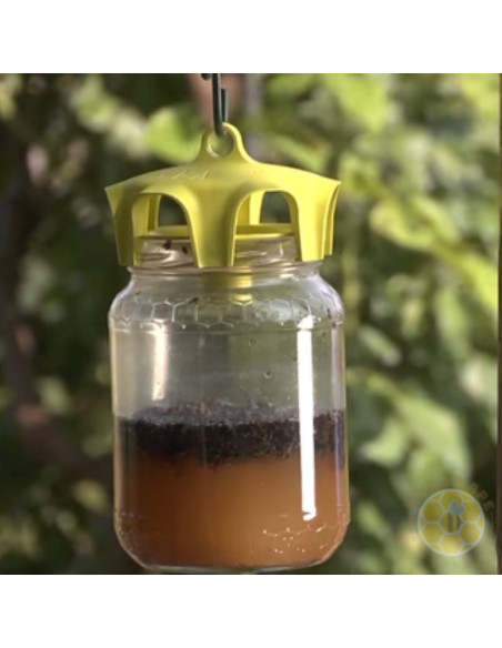 VASO TRAP TRAPPOLE SELETTIVE PER INSETTI DANNOSI VOLANTI E LUMACHE CONF