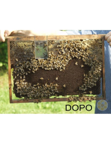 GABBIETTA VAR CONTROL MOZZATO PER BLOCCO COVATA