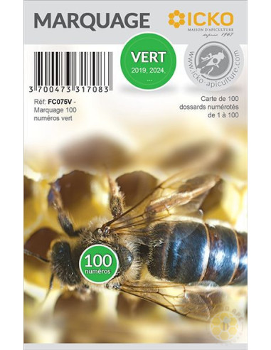 BOLLINI MARCA REGINA NUMERATI 1 99 VERDE