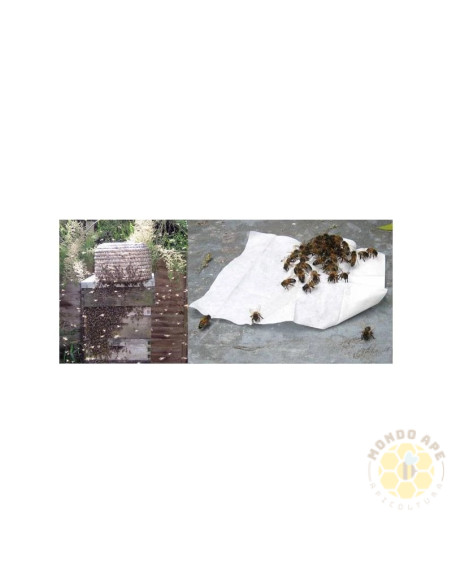 ATTIRASCIAMI IN SALVIETTINA ATTRATTIVO PER SCIAMI 10 SALVIETTE