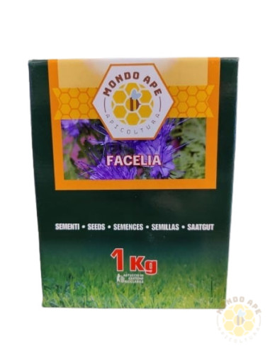 FACELIA (PHACELIA TANACETIFOLIA) – SEMI DI PIANTA MELLIFERA PER API | MONDO APE