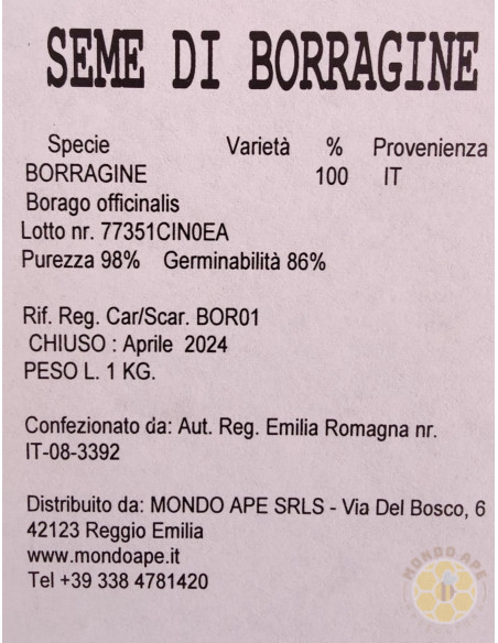 SEMENTI DI BORRAGINE BORAGO OFFICINALIS 1 KG PIANTA MELLIFERA PER API | MONDO APE