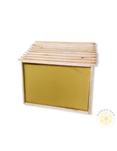 SET 10 TELAINI DADANT DA NIDO CON FOGLIO CEREO OPERCOLO | MONDO APE