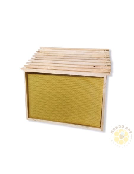 SET 10 TELAINI DADANT DA NIDO CON FOGLIO CEREO OPERCOLO | MONDO APE