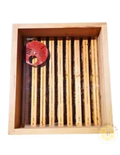 COPRIFAVO STANDARD PER ARNIE 10 FAVI CON PLEXIGLASS TRASPARENTE 43X50 CM | MONDO APE