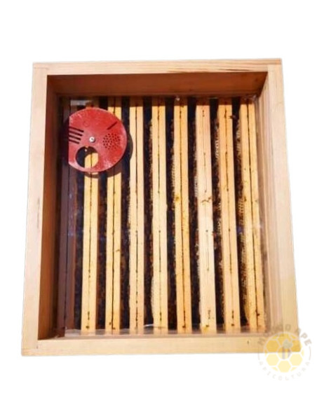 COPRIFAVO STANDARD PER ARNIE 10 FAVI CON PLEXIGLASS TRASPARENTE 43X50 CM | MONDO APE