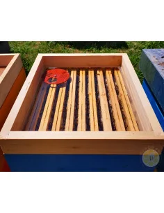 COPRIFAVO STANDARD PER ARNIE 10 FAVI CON PLEXIGLASS TRASPARENTE 43X50 CM | MONDO APE 2