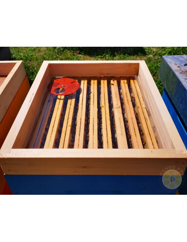 COPRIFAVO STANDARD PER ARNIE 10 FAVI CON PLEXIGLASS TRASPARENTE 43X50 CM | MONDO APE