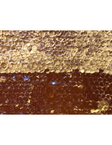 FORCHETTA PER DISOPERCOLARE INOX CON MANICO IN LEGNO | MONDO APE