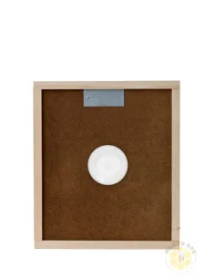 APISCAMPO MASONITE PER ARNIA 10 FAVI CON DISCO 2 USCITE | MONDO APE 2