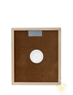 Apiscampo Rotondo su Telaio 43x50 cm per Arnia 10 Favi | Separatore per Smielatura 2