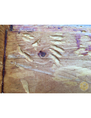 B 403 ANTI TARMA DELLA CERA 1 LITRO BIOLOGICO PER TELAINI | MONDO APE