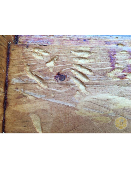 B 403 ANTI TARMA DELLA CERA 1 LITRO BIOLOGICO PER TELAINI | MONDO APE