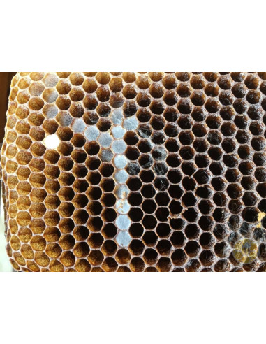 B 403 ANTI TARMA DELLA CERA 1 LITRO BIOLOGICO PER TELAINI | MONDO APE