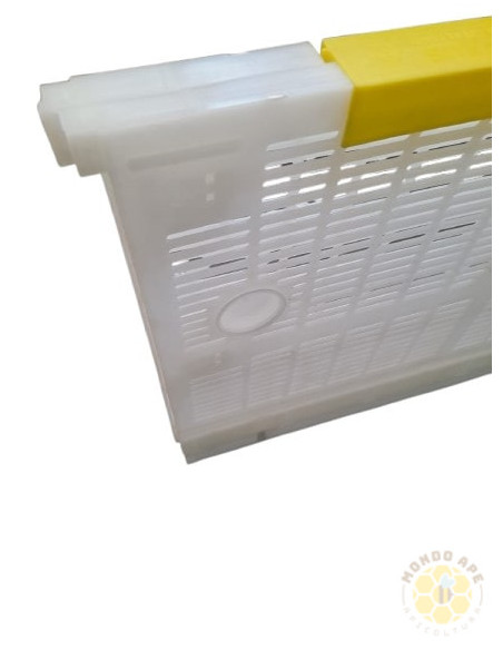 GABBIA ESCLUDI REGINA VERTICALE REGOLABILE ESSEA-ZEUS | MONDO APE