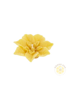 CANDELA STELLA DI NATALE