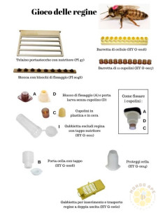 Tubo di protezione delle celle 2