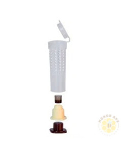 GABBIETTA ESCLUDI REGINA CON TAPPO NUTRITORE TRASPARENTE | MONDO APE 2