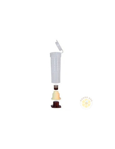 Gabbietta per regina con supporto