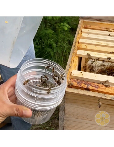 VARROA TESTER BEEVITAL PER MONITORAGGIO INFESTAZIONE DA VARROA