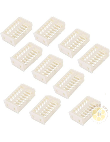 10 GABBIETTE ISOLAMENTO REGINA BLOCCO DI COVATA | MONDO APE