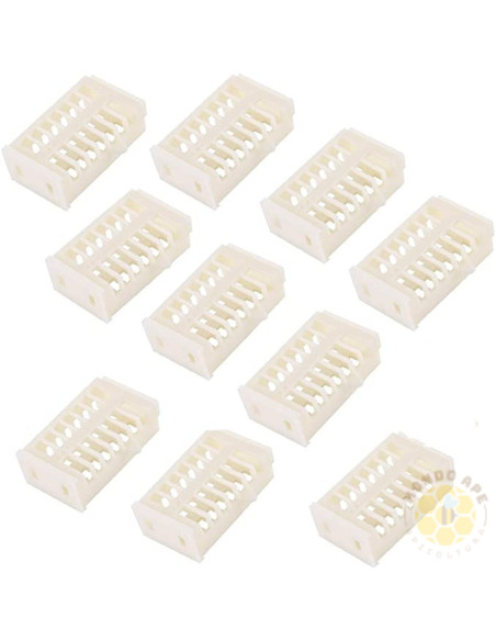 10 GABBIETTE ISOLAMENTO REGINA BLOCCO DI COVATA | MONDO APE