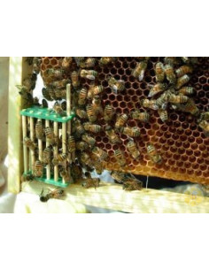 Gabbietta per il blocco covata in legno di Bamboo - Confezione da 5 Pz 2
