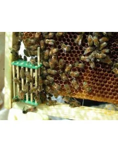 5 GABBIETTE CINESI BLOCCO COVATA IN BAMBOO | MONDO APE 2