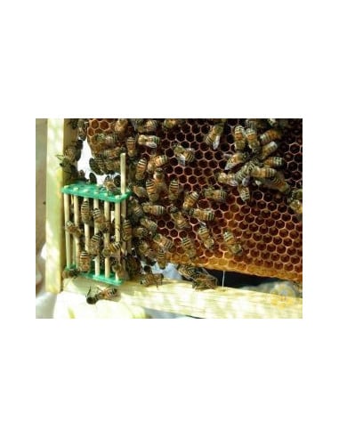 5 GABBIETTE CINESI BLOCCO COVATA IN BAMBOO | MONDO APE