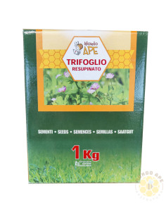 TRIFOGLIO RESUPINATO (TRIFOLIUM RESUPINATUM) – SEMI DI PIANTA MELLIFERA E DA SOVESCIO | MONDO APE 2
