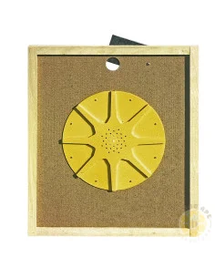 APISCAMPO A STELLA 8 USCITE PER ARNIA 12 FAVI | MONDO APE