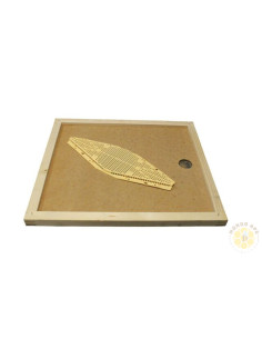 APISCAMPO LOSANGA SU TELAIO 50x50 CM PER ARNIA 12 FAVI