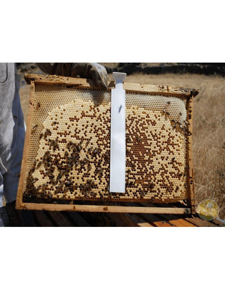 APITRAZ 500 MG AMITRAZ 10 STRISCE PER ALVEARI 