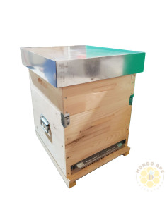 ARNIA CUBO BOX SVERNICIATA DB10 FAVI COMPLETA DI MELARIO E TELAINI