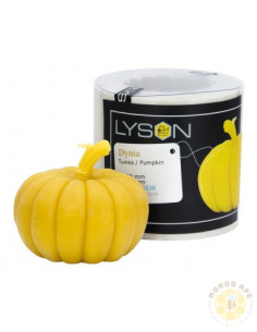 STAMPO PER CANDELA IN SILICONE ZUCCA