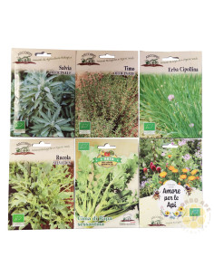 SEMI PER API KIT 6 BUSTINE ERBE AROMATICHE