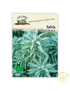 SEMI DI SALVIA OFFICINALIS