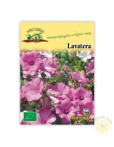 SEMI DI LAVATERA