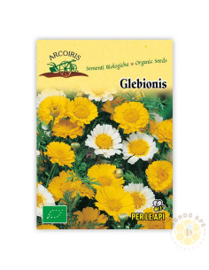 SEMI DI GLEBIONIS CORONARIA