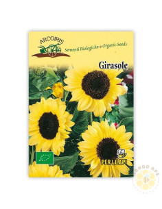 SEMI DI GIRASOLE