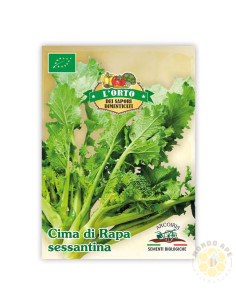 SEMI DI CIMA DI RAPA