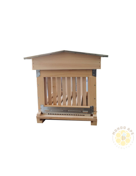 Arnia da osservazione da 10 favi con pareti a vetri