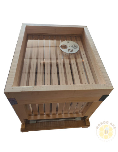 Arnia da osservazione da 10 favi con pareti a vetri