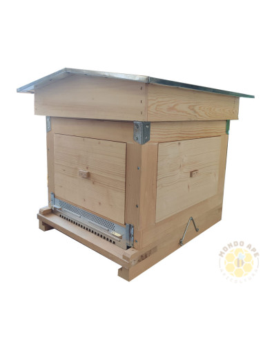 Arnia da osservazione da 10 favi con pareti a vetri