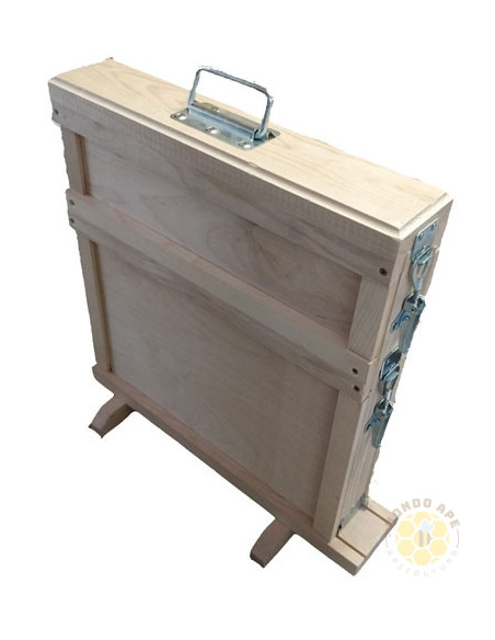 ARNIA DIDATTICA IN VETRO PER OSSERVAZIONE API | MONDO APE