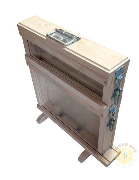 Arnia da osservazione con 1 favo da Nido e pareti a vetri