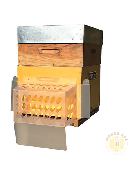 MASCHERA ANTI VESPA VELUTINA PER INGRESSO ARNIA | MONDO APE